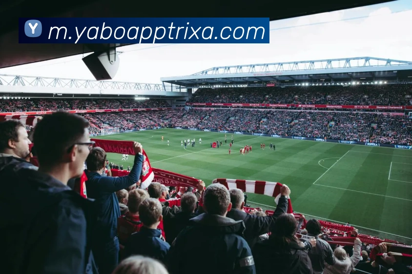 YABOApp下载品牌故事