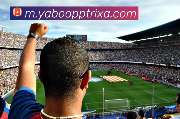 YABOApp下载服务体系